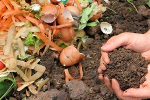 cara mengolah sampah organik menjadi bisnis