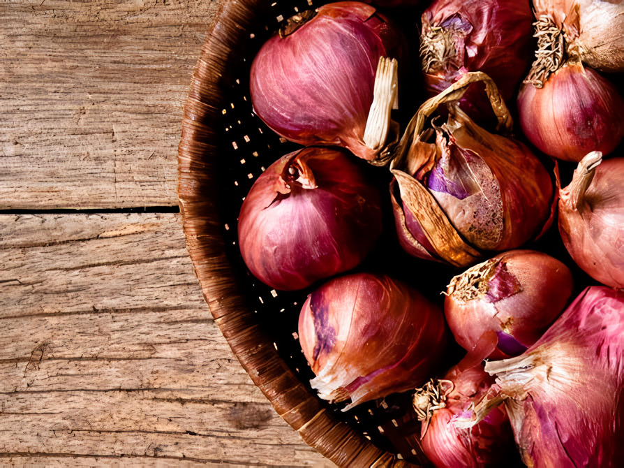 jenis usaha bawang merah