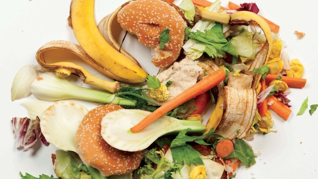 jenis-jenis sampah organik 