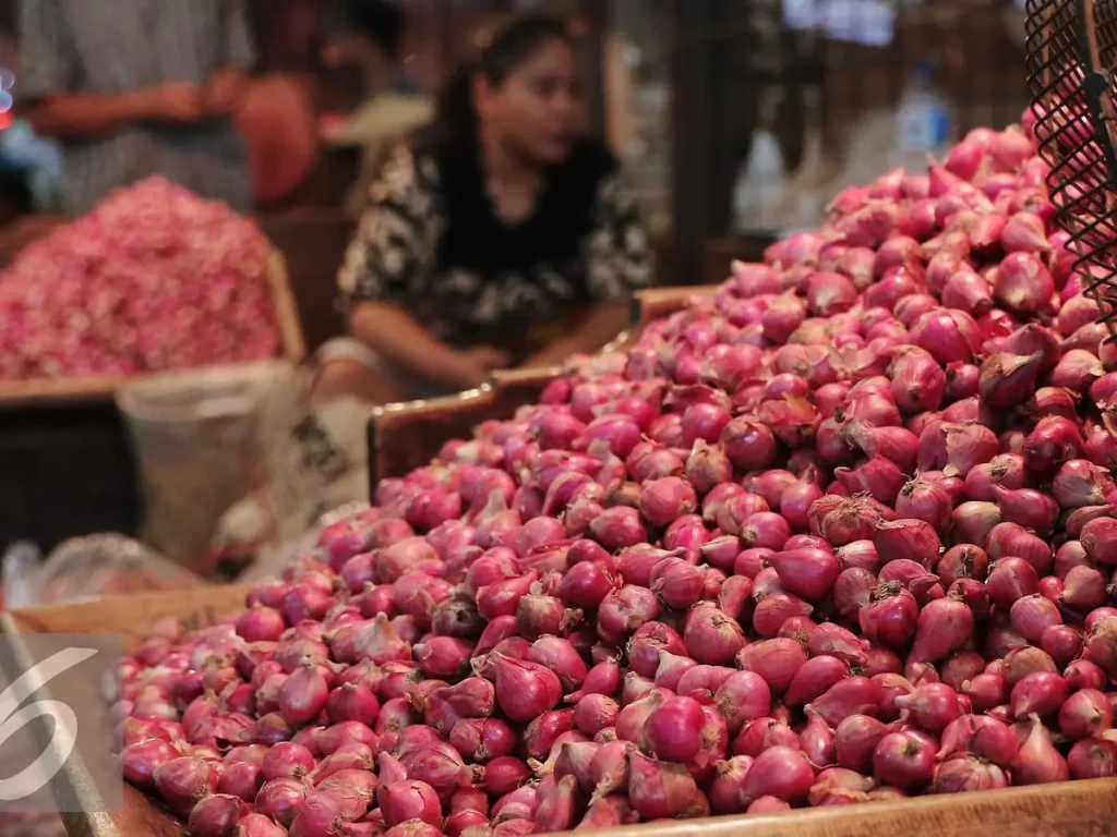 potensi bawang merah