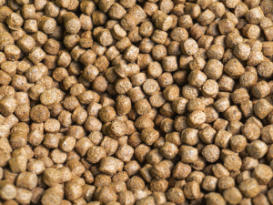 cara membuat pelet ikan