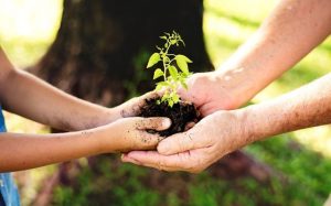 Bisnis Pupuk Organik