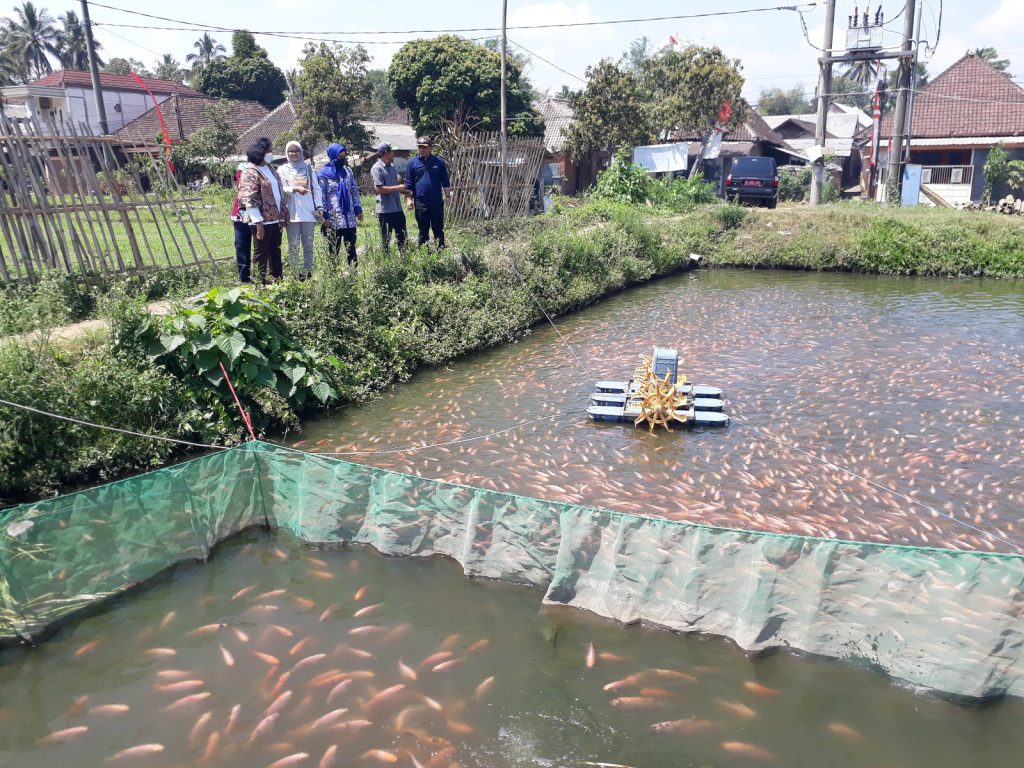 campuran pembuatan pelet ikan
