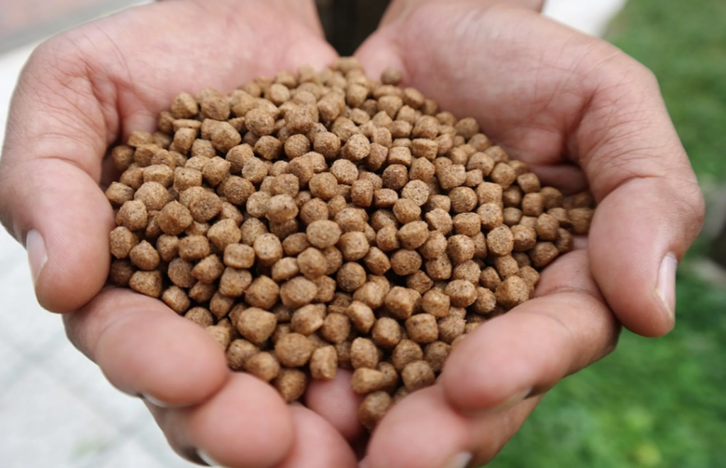 campuran membuat pelet ikan