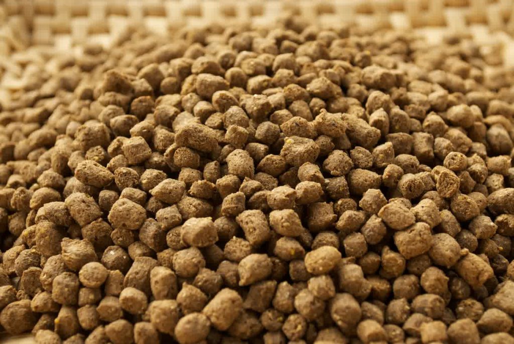 campuran membuat pelet ikan