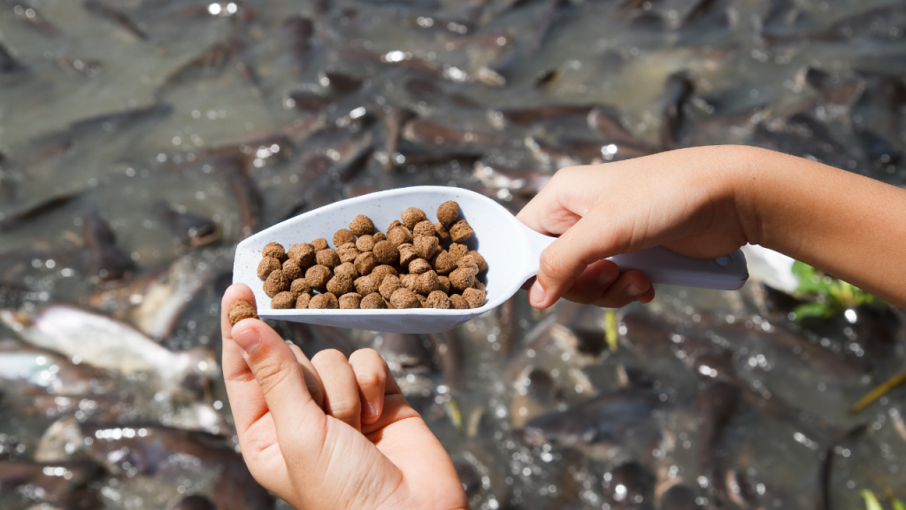 perbedaan pelet sinking dan floating