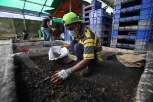 Mengolah Sampah Organik Menjadi Kompos