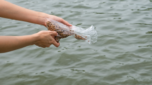 perbedaan pelet singking dan floating