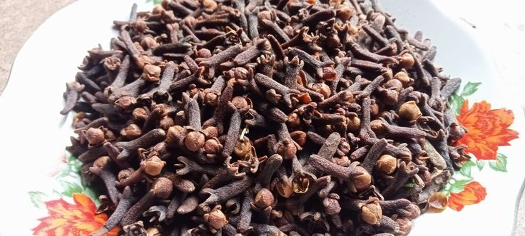 cengkeh untuk sakit gigi