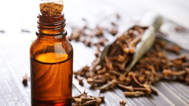 minyak atsiri dari daun cengkeh