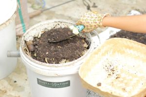 Mengolah Sampah Organik Menjadi Kompos