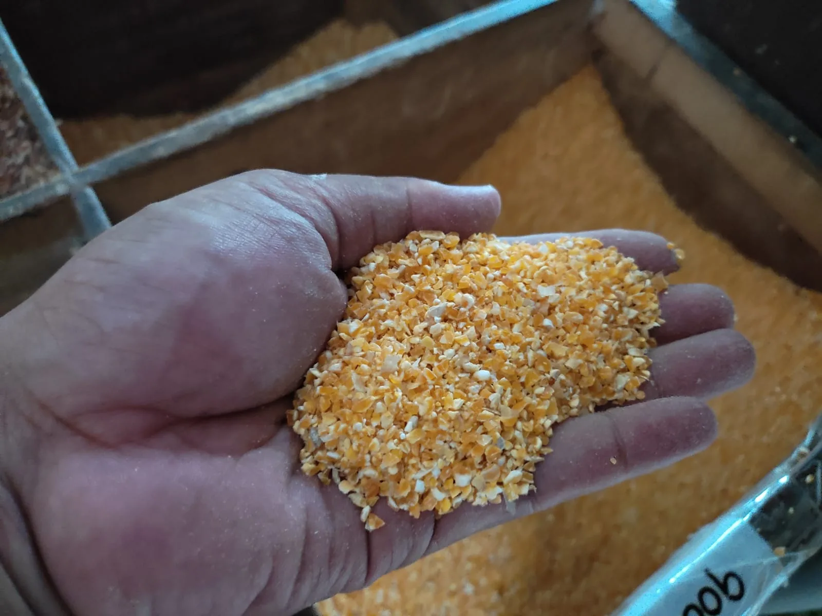 macam-macam pakan ayam