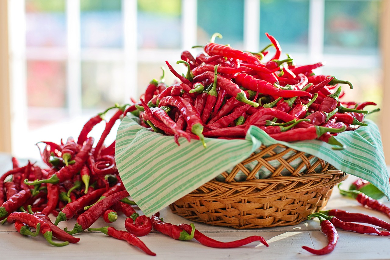Peluang Bisnis Cabai Merah: Pedasnya Keuntungan di Setiap Tingkatan