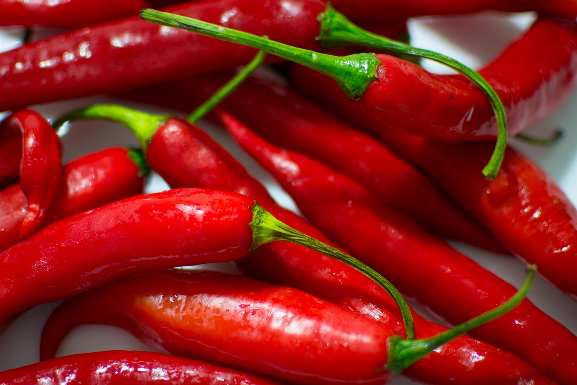 Peluang Bisnis Cabai Merah: Pedasnya Keuntungan di Setiap Tingkatan