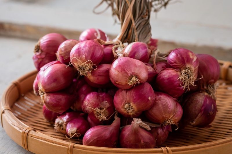 cara menyimpan bawang merah