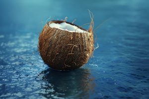 Kelapa tua sebagai bahan baku santan kelapa