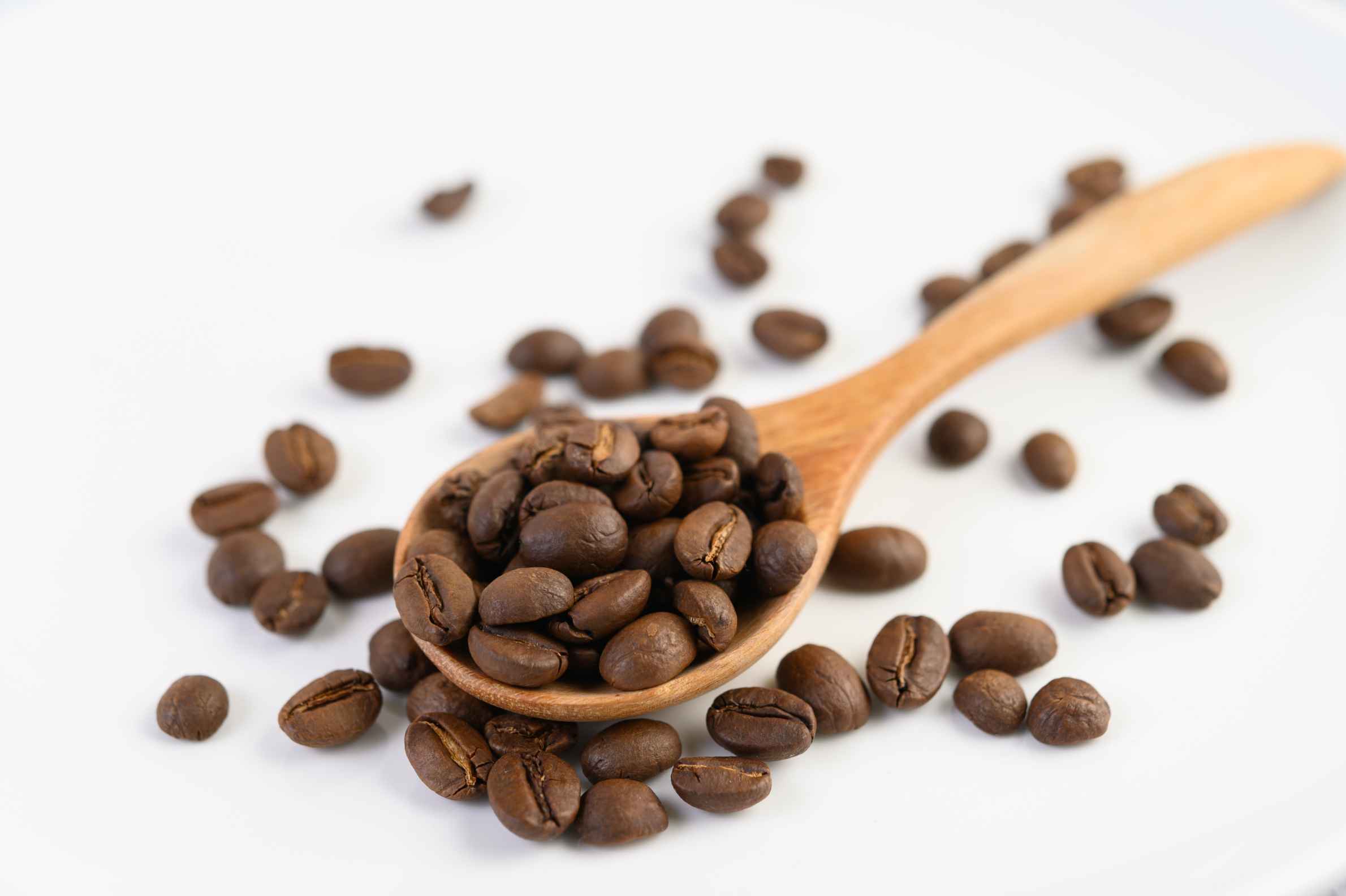 cara mengeringkan biji kopi