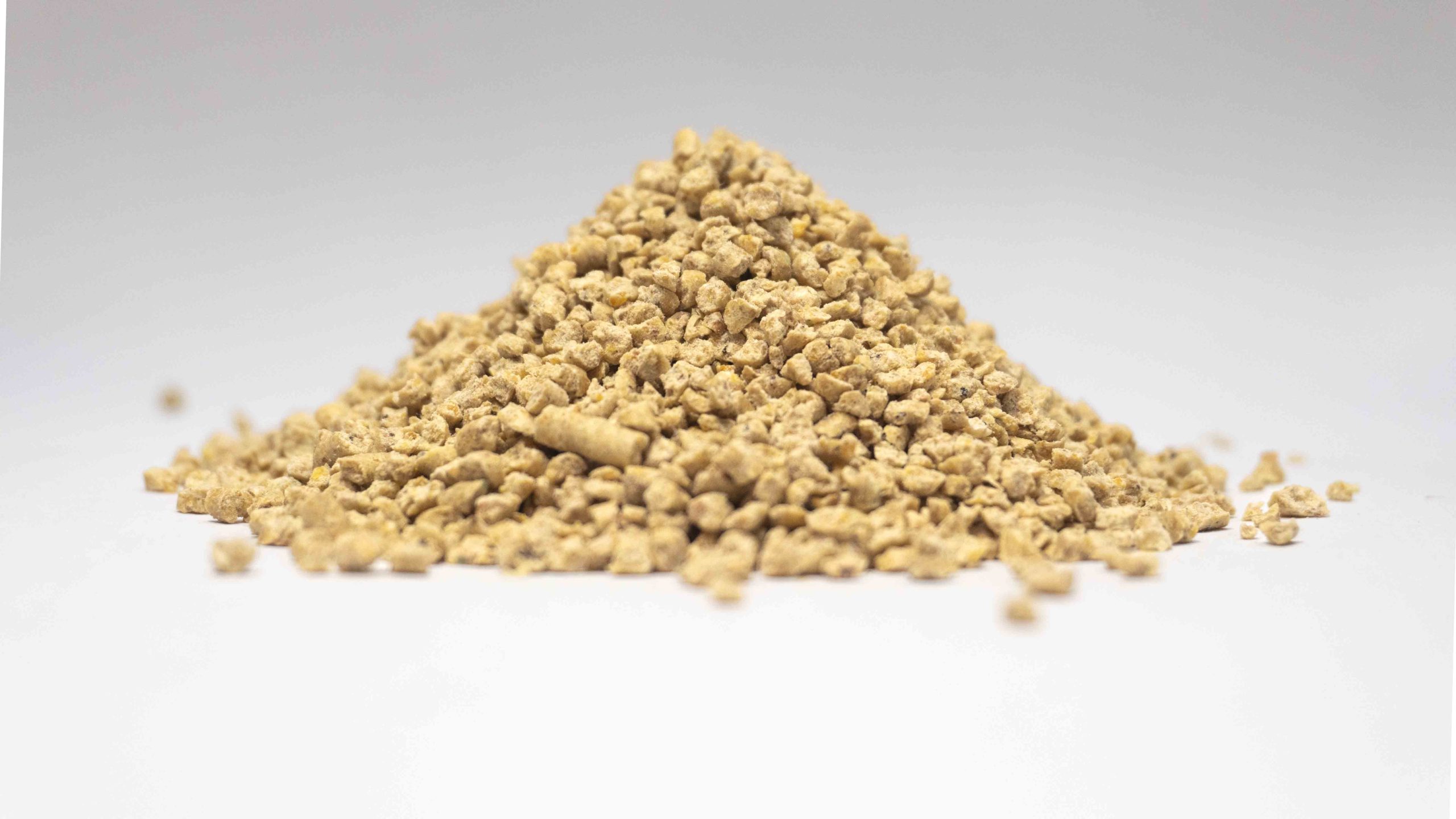 Macam-macam pakan ayam