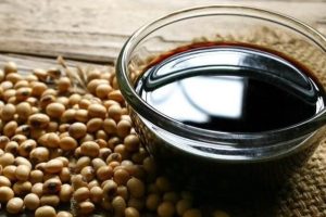 olahan dari kacang kedelai