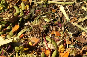 Cara Pembuatan Pupuk Organik