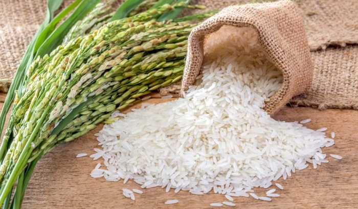 beras putih