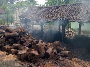 Cara Membuat Arang dari Kayu 