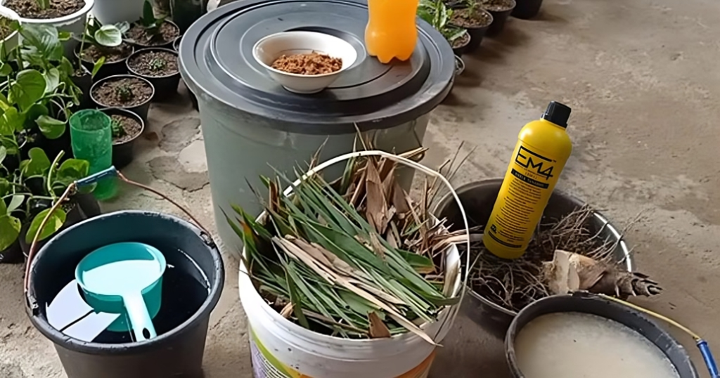 cairan untuk membuat pupuk kompos