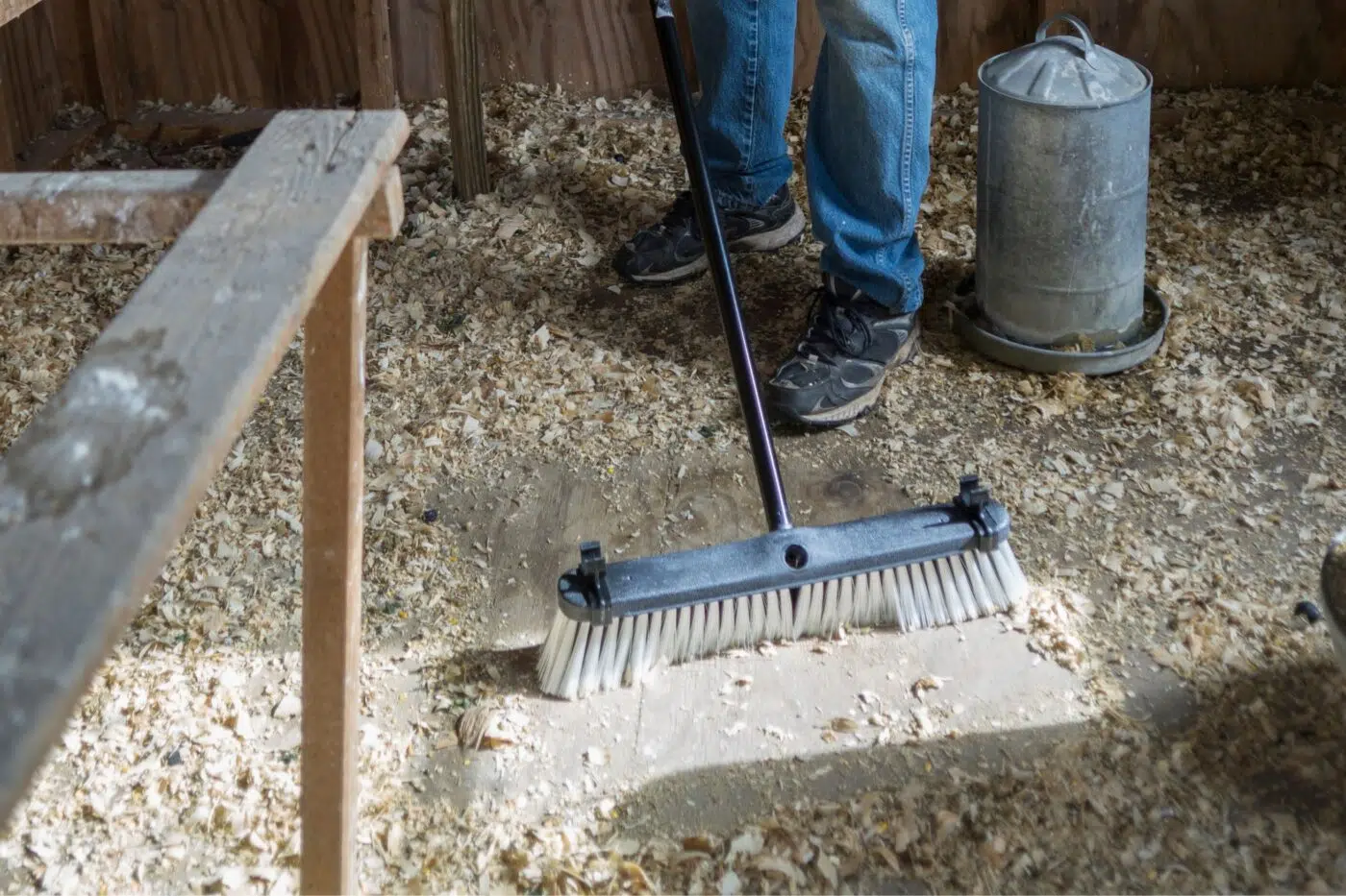 Membersihkan kandang ayam