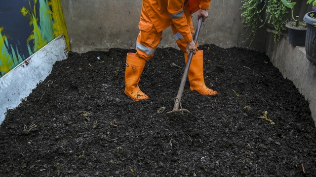Cara Membuat Kompos Untuk Tanaman Cabai