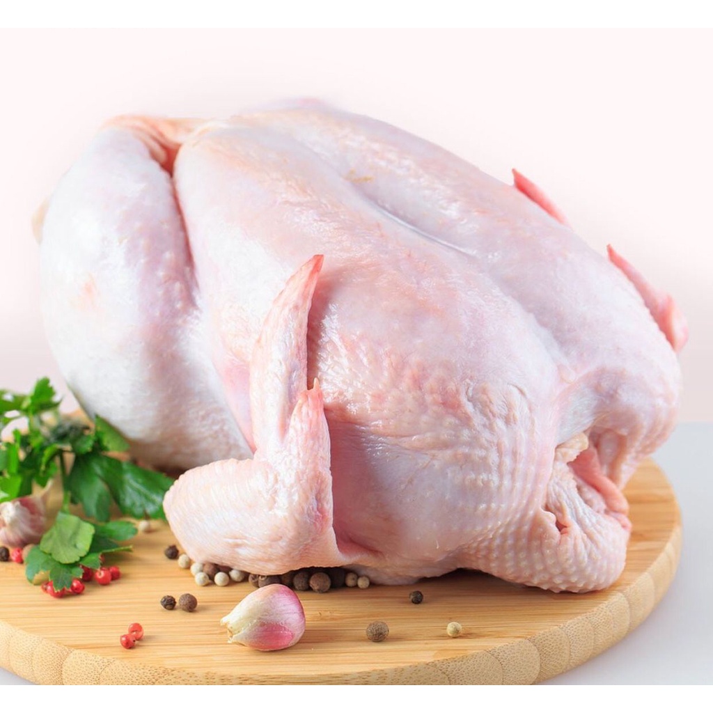 cara mengolah ayam agar tidak bau