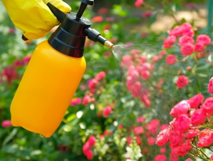 cara membuat pupuk kompos cair