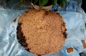 manfaat ampas kayu untuk tanaman 