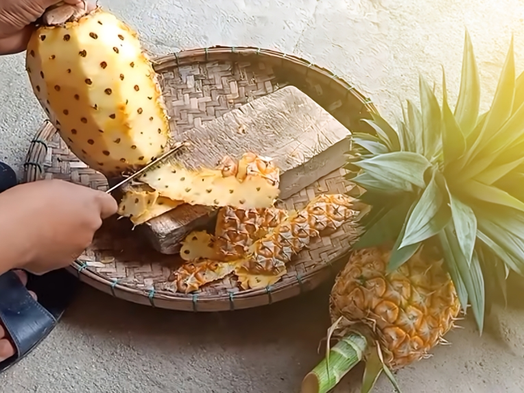 cara membuat pupuk kompos dari kulit nanas