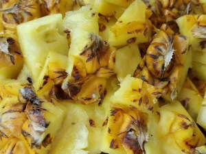 cara membuat pupuk kompos