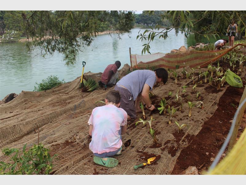 cocomesh sabut kelapa
