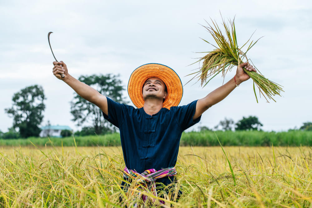 Manfaat Mesin Pertanian Modern