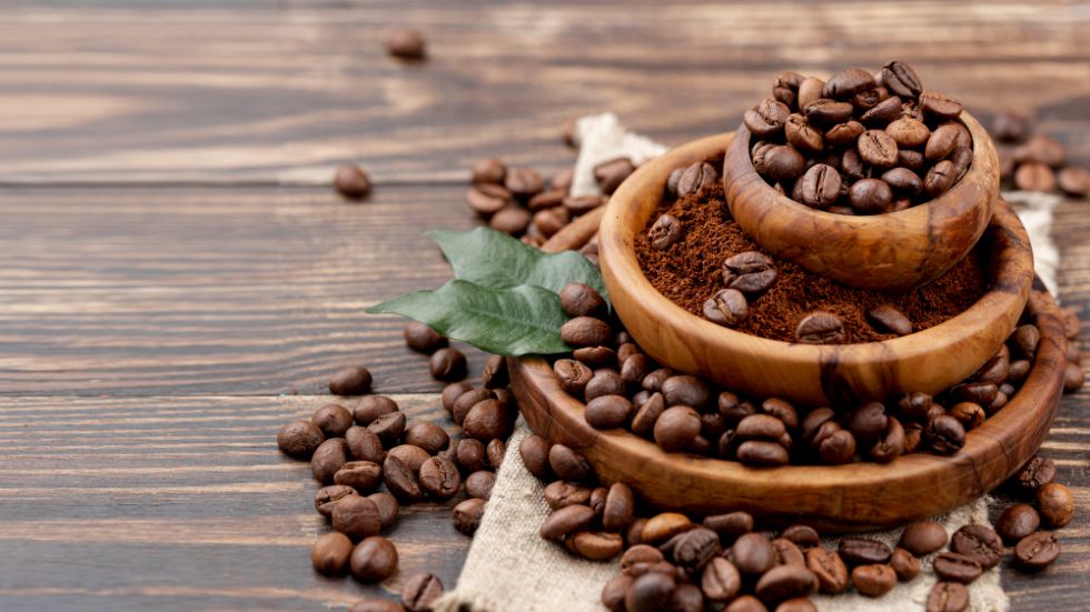 bedanya robusta dan arabika