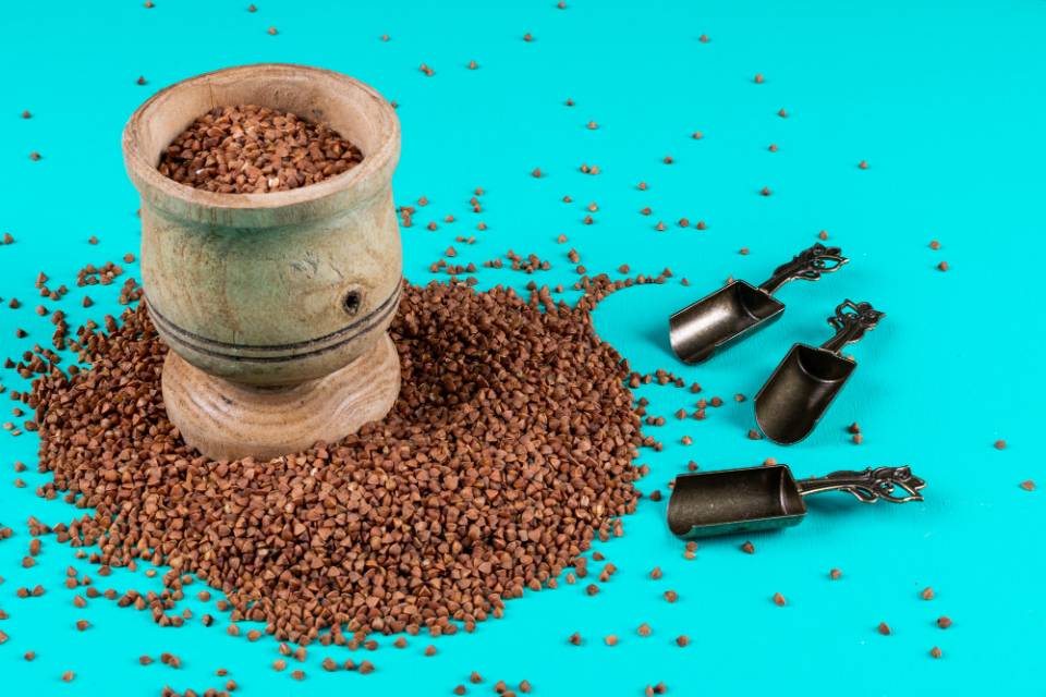 proses sortasi biji kopi