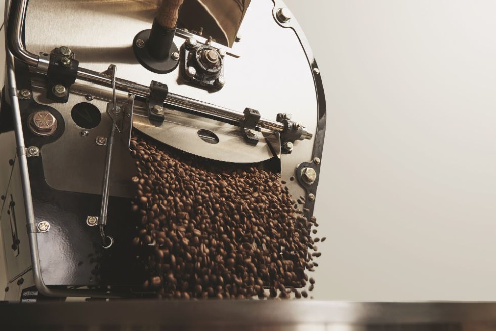 proses sortasi biji kopi