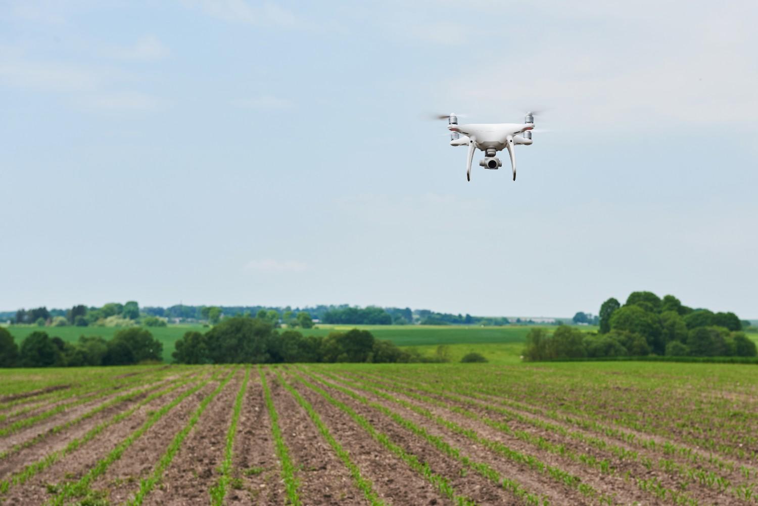 drone pertanian