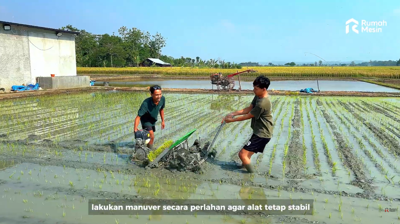 Penggunaan alat tanam padi setelah menentukan wktu tanam