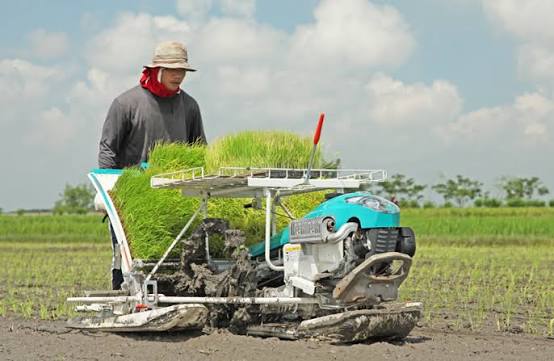 Perawatan Rice Transplanter