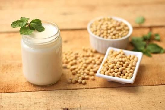 usaha kacang kedelai