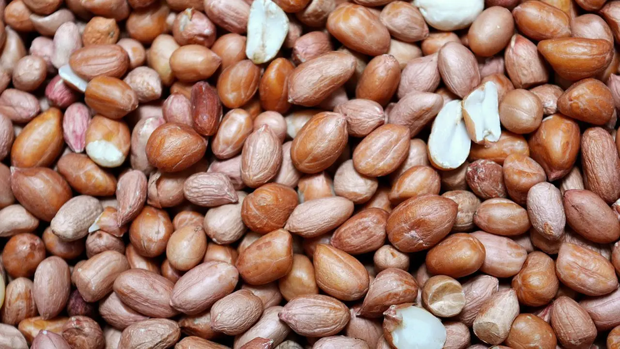 kulit ari kacang