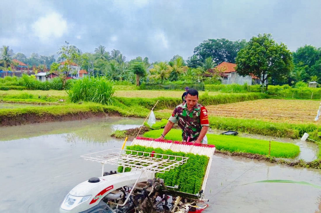 Teknologi dan Sistem Kerja Mesin Tanam Padi