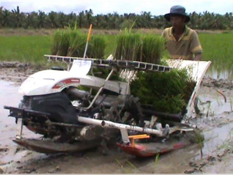 Jasa dan Sewa Rice Transplanter