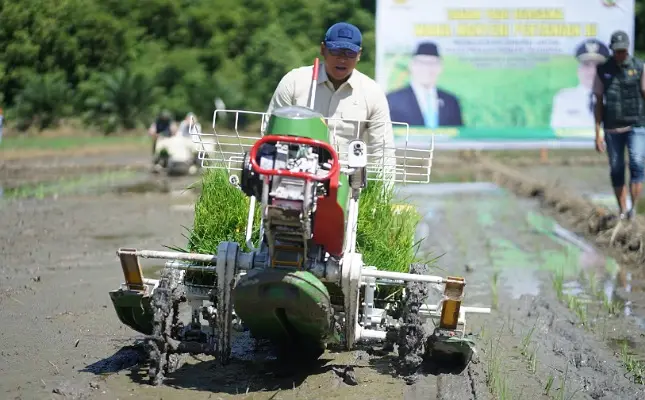 Alasan Petani Pakai Mesin Tanam Padi