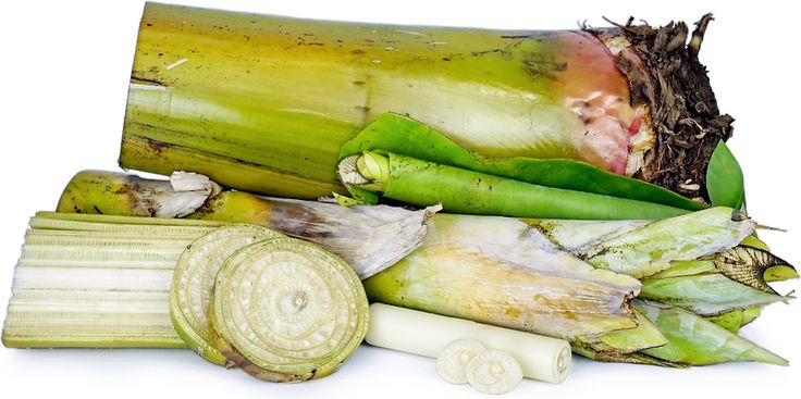 cara cepat mencacah batang pisang