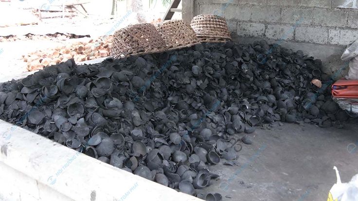 harga tempurung kelapa