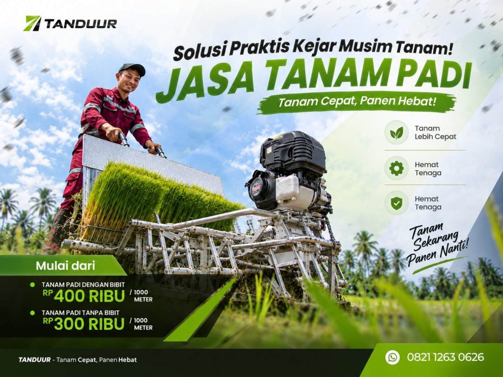 Jasa Tanam Padi Jogja